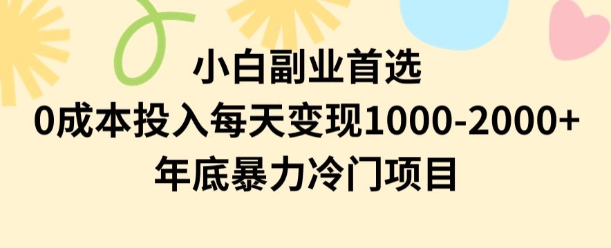 小白副业首选,0成本投入,每天变现1000-2000年底暴力冷门项目【揭秘】