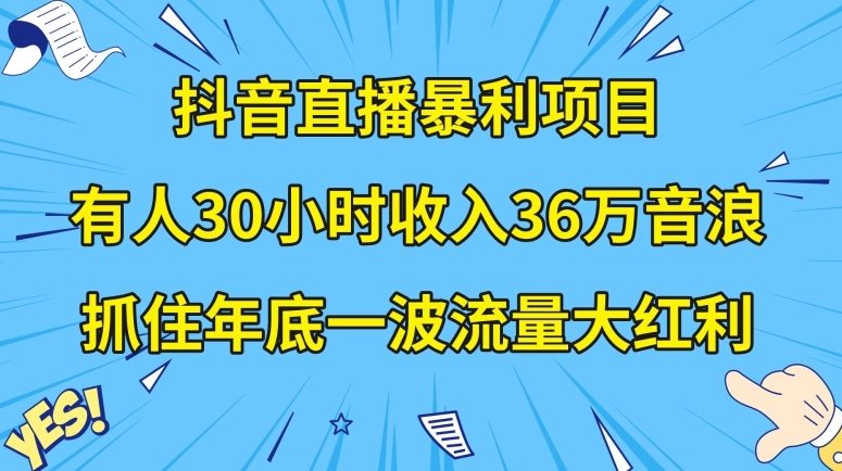 抖音直播暴利项目,有人30小时收入36万音浪,公司宣传片年会视频制作,抓住年底一波流量大红利【揭秘】