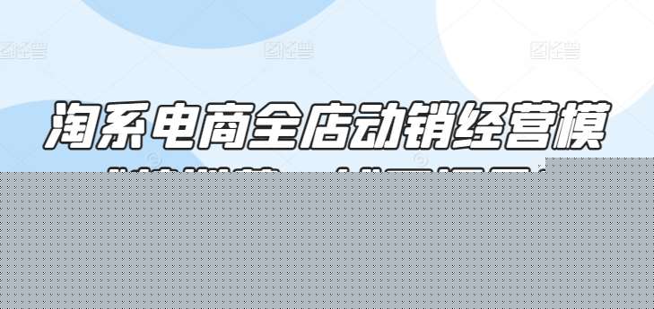 淘系电商全店动销经营模式特训营，线下课录音