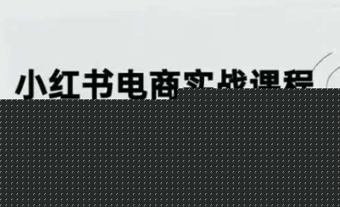 小红书从0-1实操课(2023-2025)，详解养号、选品、文案撰写、爆款打造实现电商变现