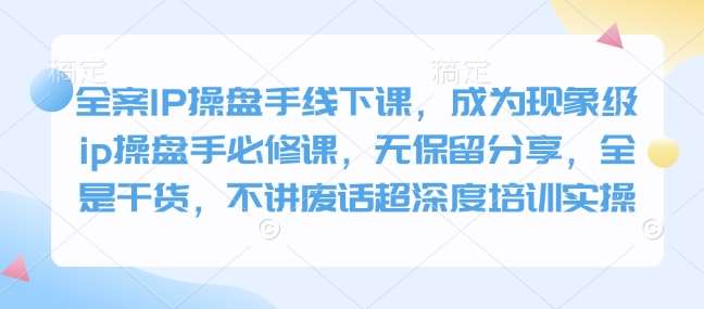 全案IP操盘手线下课，成为现象级ip操盘手必修课，无保留分享，全是干货，不讲废话超深度培训实操