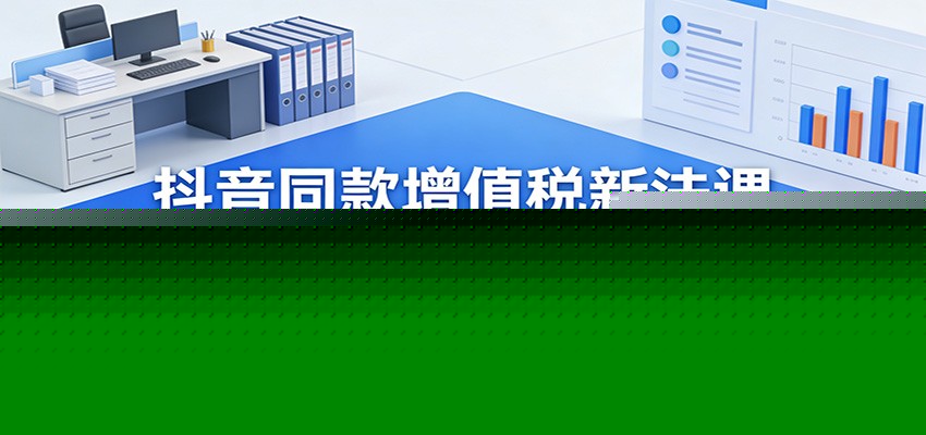抖音同款增值税新法课:2024年增值税法+新旧条例全解析